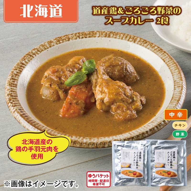道産鶏&ごろごろ野菜のスープカレー 2食 送料込み