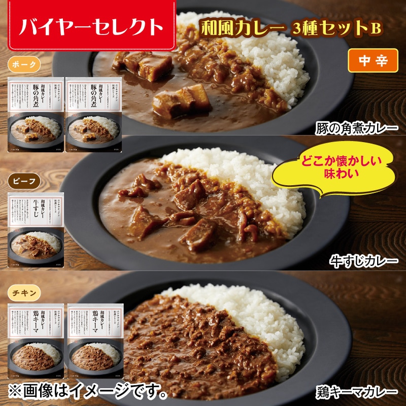 和風カレー 3種セットB 送料込み