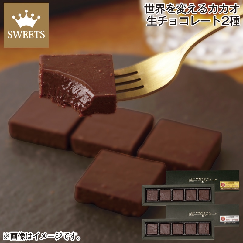 世界を変えるカカオ 生チョコレート2種 送料込み バレンタイン