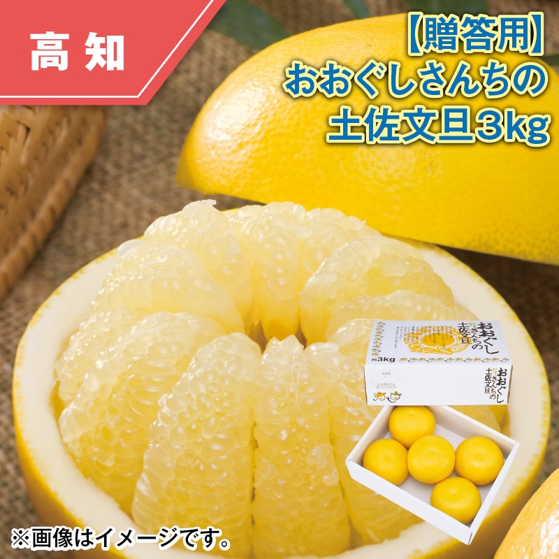 【贈答用】おおぐしさんちの土佐文旦3kg 送料込み