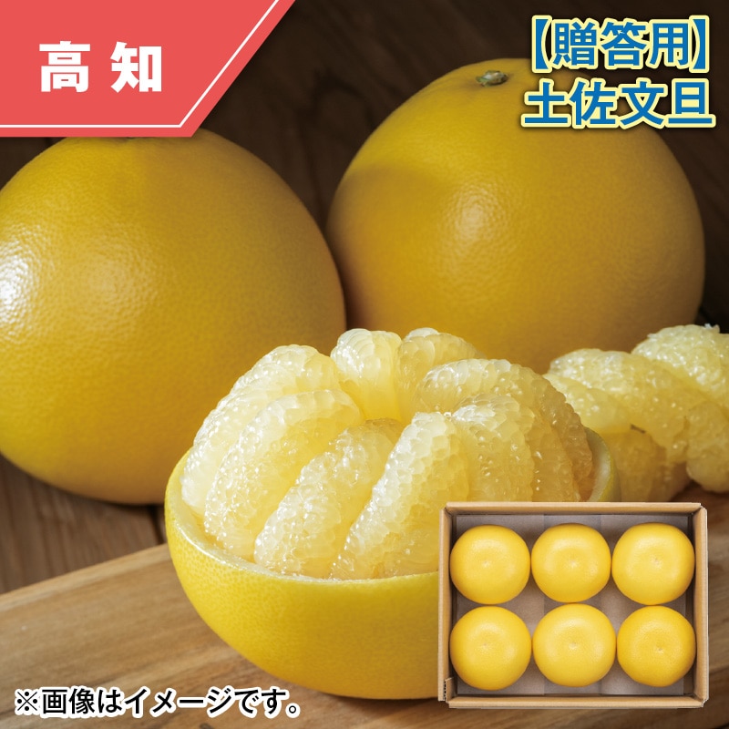 【贈答用】土佐文旦3.1kg 送料込み