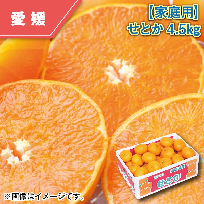 【家庭用】せとか4.5kg 送料込み
