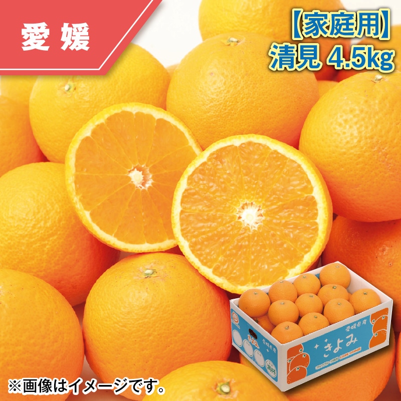 【家庭用】清見4.5kg 送料込み