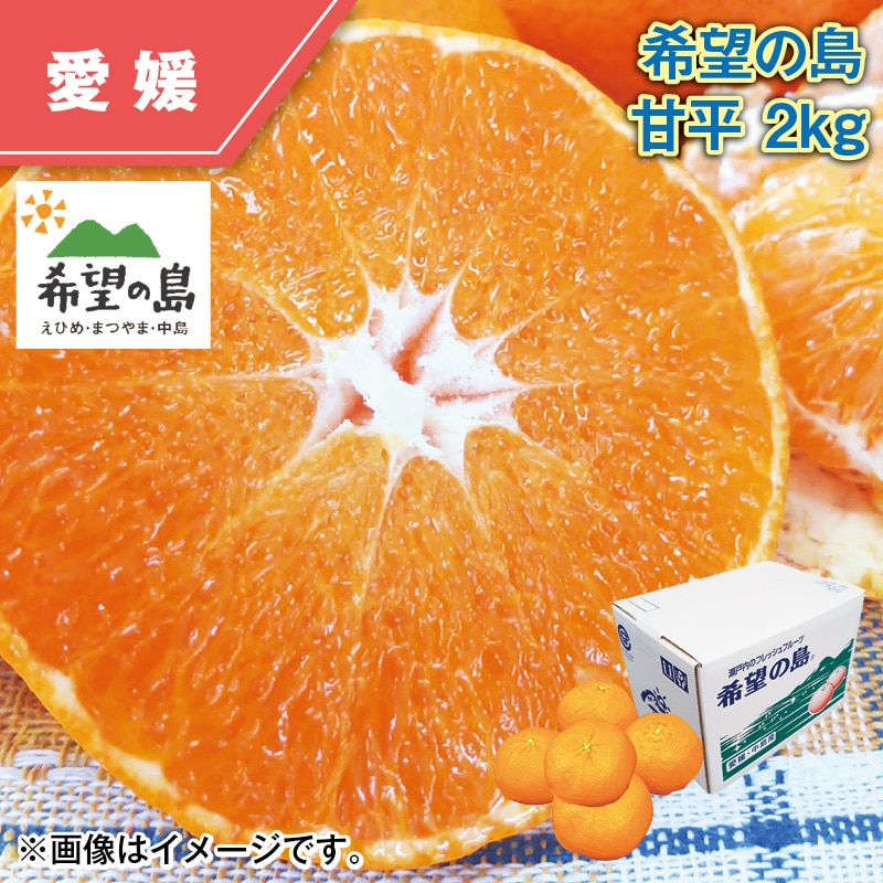 希望の島 甘平 2kg 送料込み
