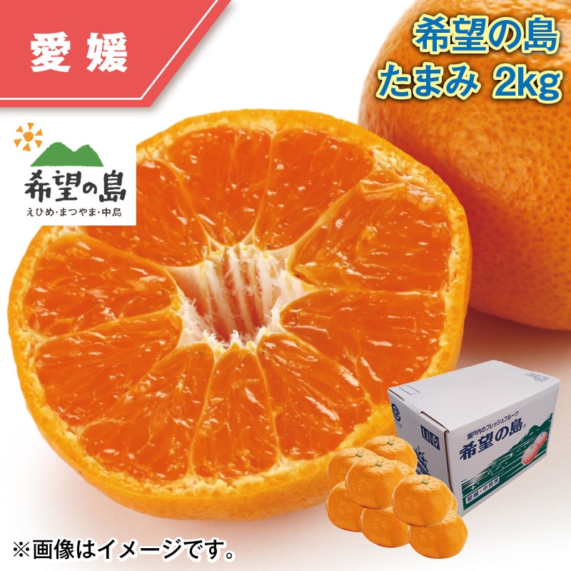 希望の島 たまみ 2kg 送料込み