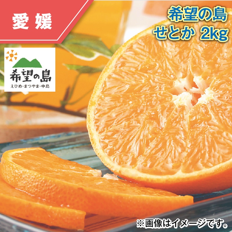 希望の島 せとか 2kg 送料込み