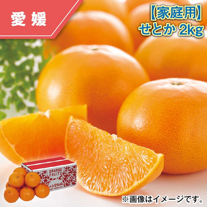 【家庭用】せとか2kg 送料込み