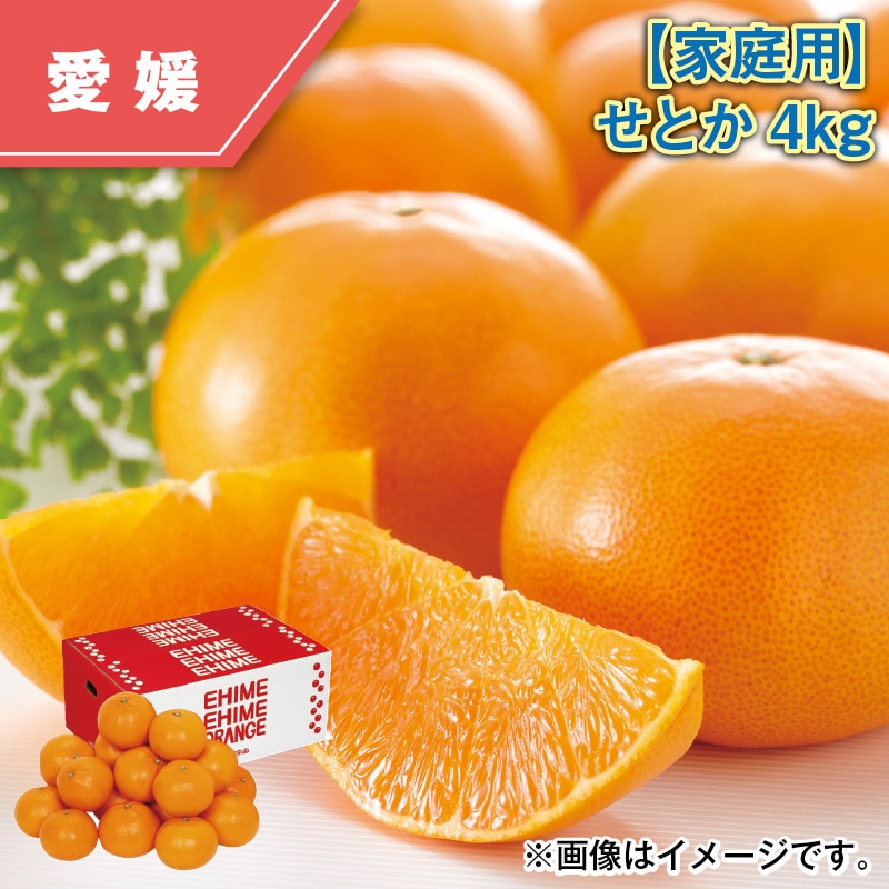 【家庭用】せとか4kg 送料込み
