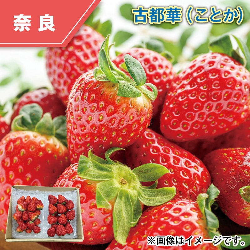 古都華(ことか) 送料込み