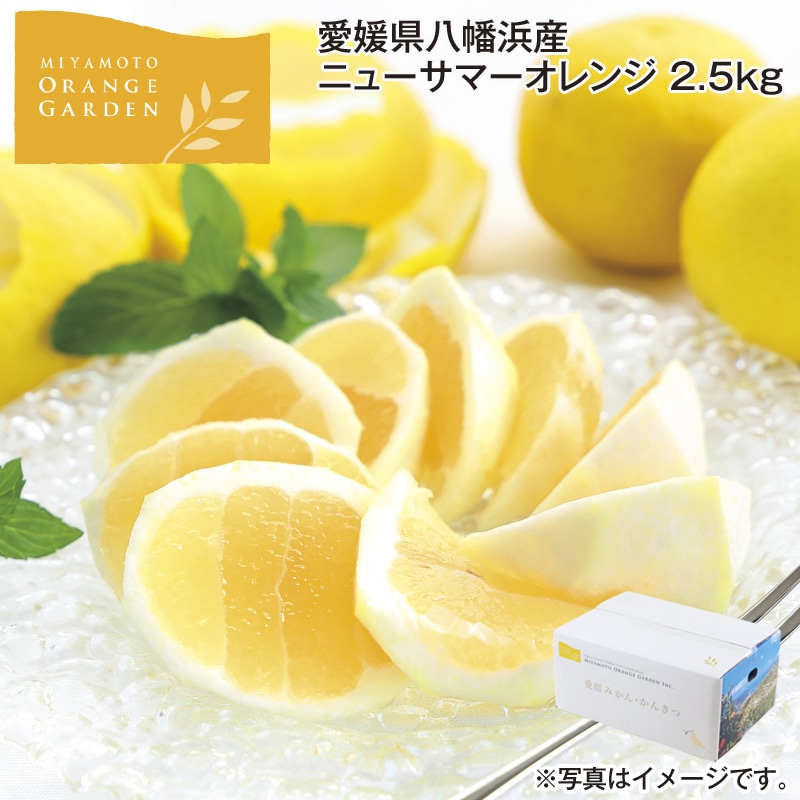 愛媛県八幡浜産 ニューサマーオレンジ 2.5kg 送料込み