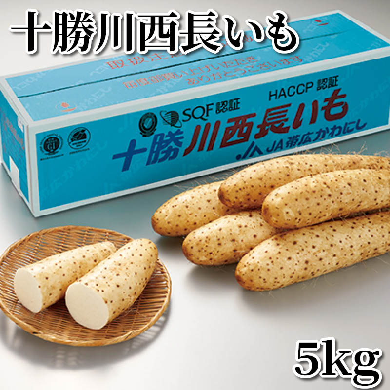 十勝川西長いも 5kg 送料込み