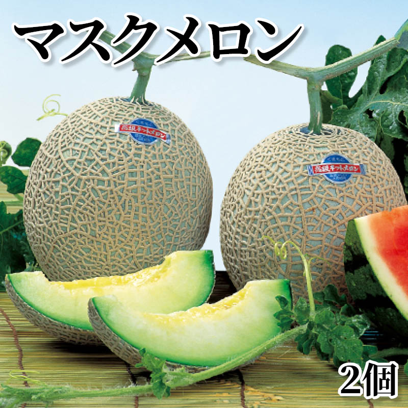マスクメロン2個 送料込み