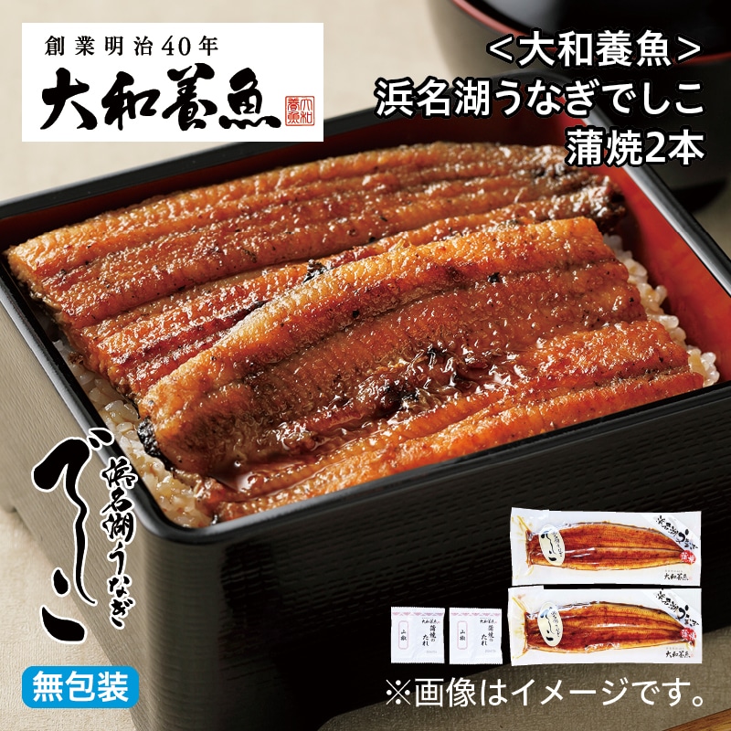 お中元 <大和養魚>浜名湖うなぎでしこ 蒲焼2本 御中元 夏ギフト ギフト 贈答 プレゼント 送料込み