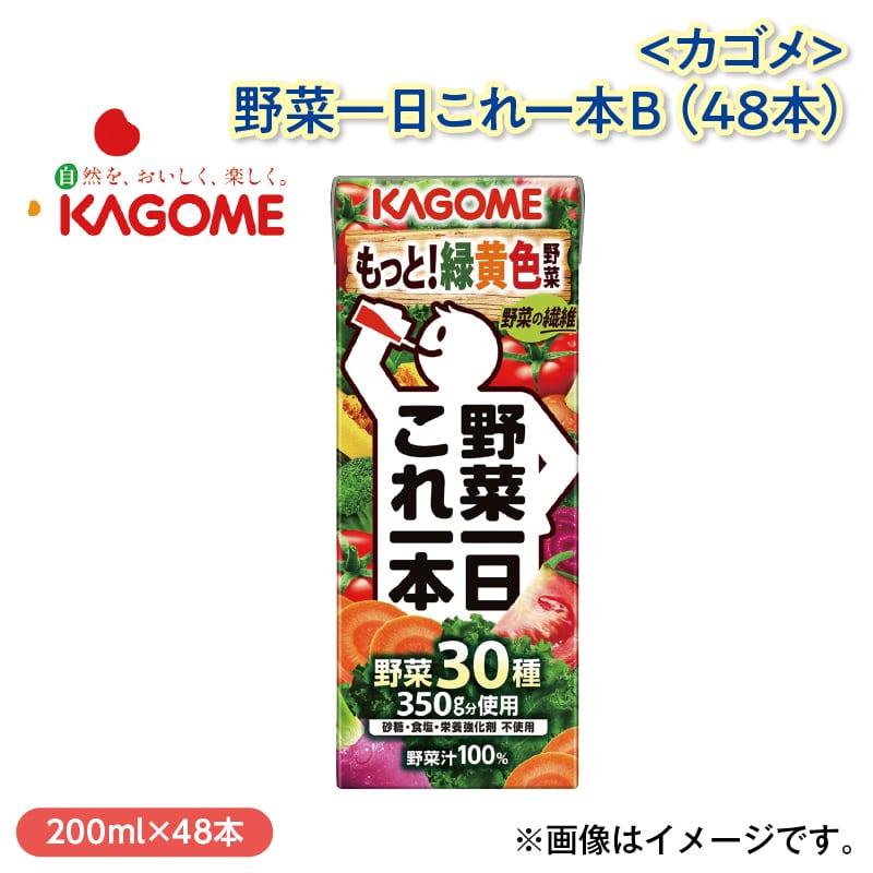 〈カゴメ〉野菜一日これ一本B(48本) 送料込み