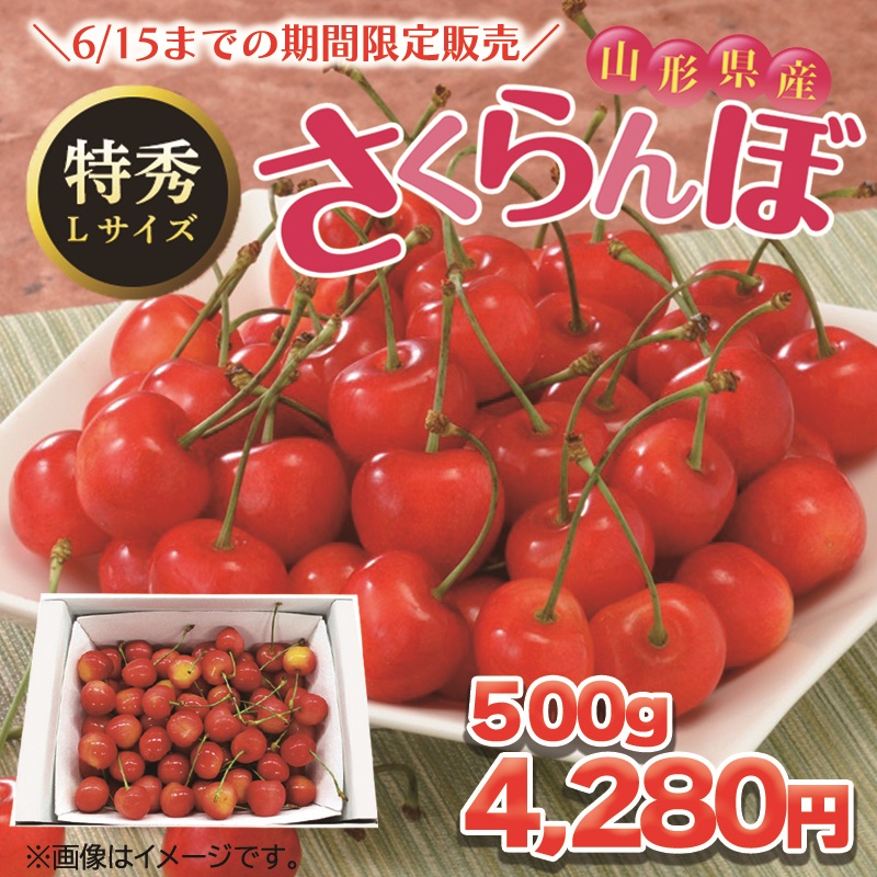【バイヤーいち押し！】産地直送　山形のさくらんぼ　５００ｇ