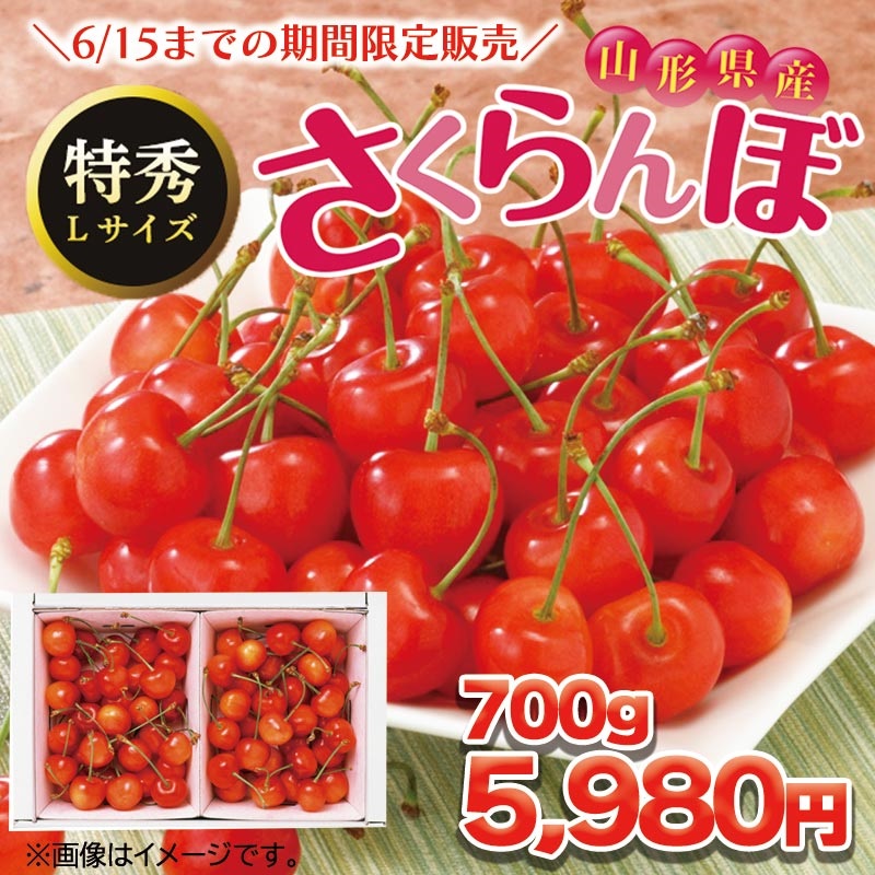 【バイヤーいち押し！】産地直送　山形のさくらんぼ　７００ｇ