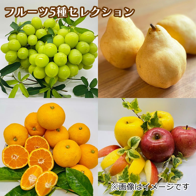 【ｍｙｇｉｆｔ】フルーツ５種セレクション　送料込み