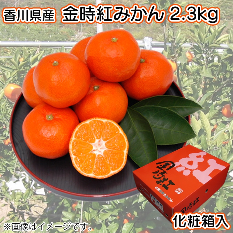 金時紅みかん　２．３ｋｇ化粧箱入　送料込み
