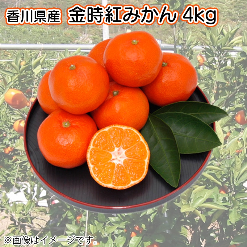 金時紅みかん　４ｋｇ　送料込み