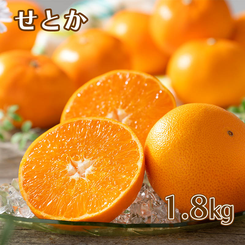 せとか　１．８ｋｇ　送料込み