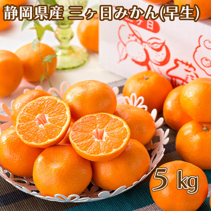 三ケ日みかん（早生）　５ｋｇ　送料込み