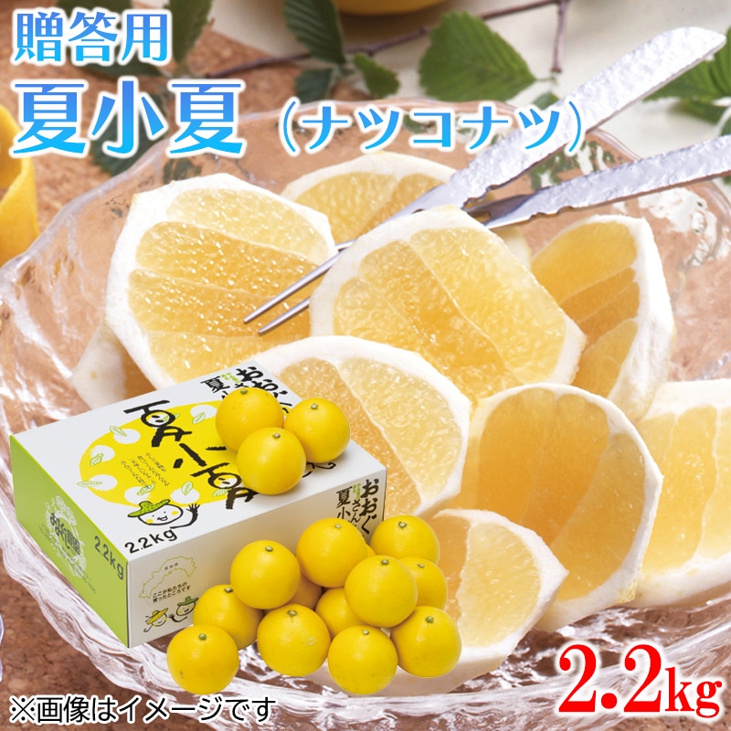 贈答用　夏小夏（ナツコナツ）２．２ｋｇ　送料込み