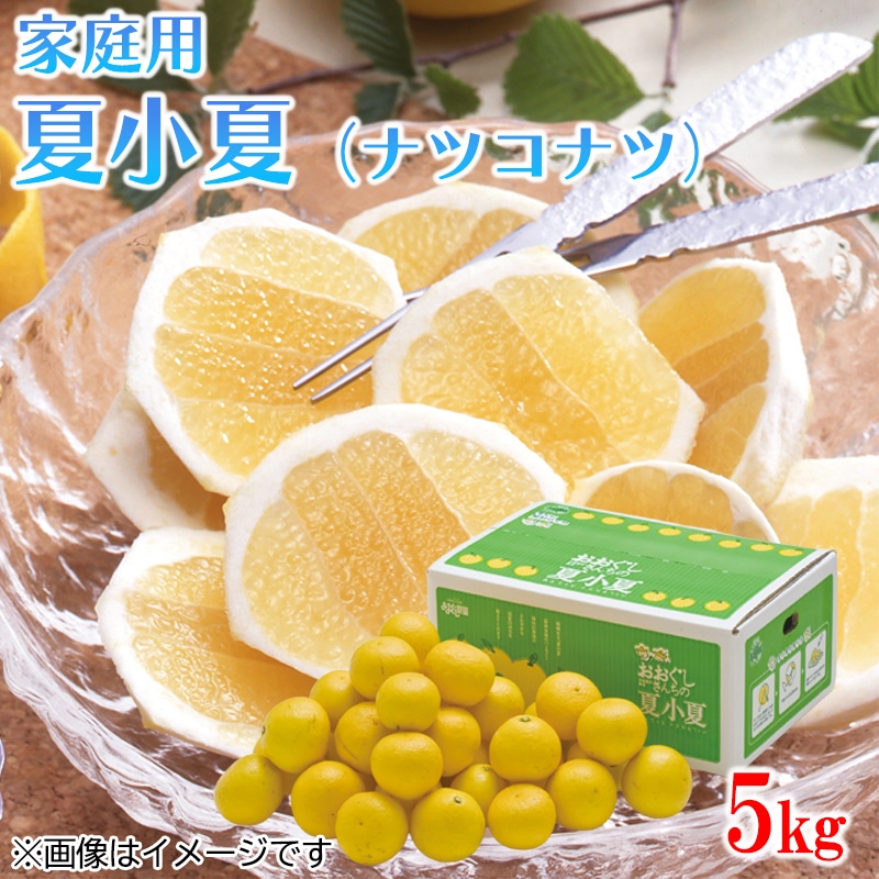 家庭用　夏小夏（ナツコナツ）５ｋｇ　送料込み