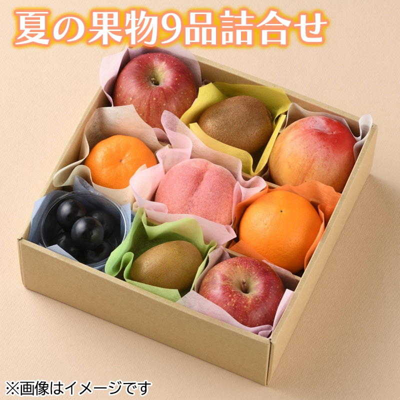 夏の果物９品詰合せ　送料込み