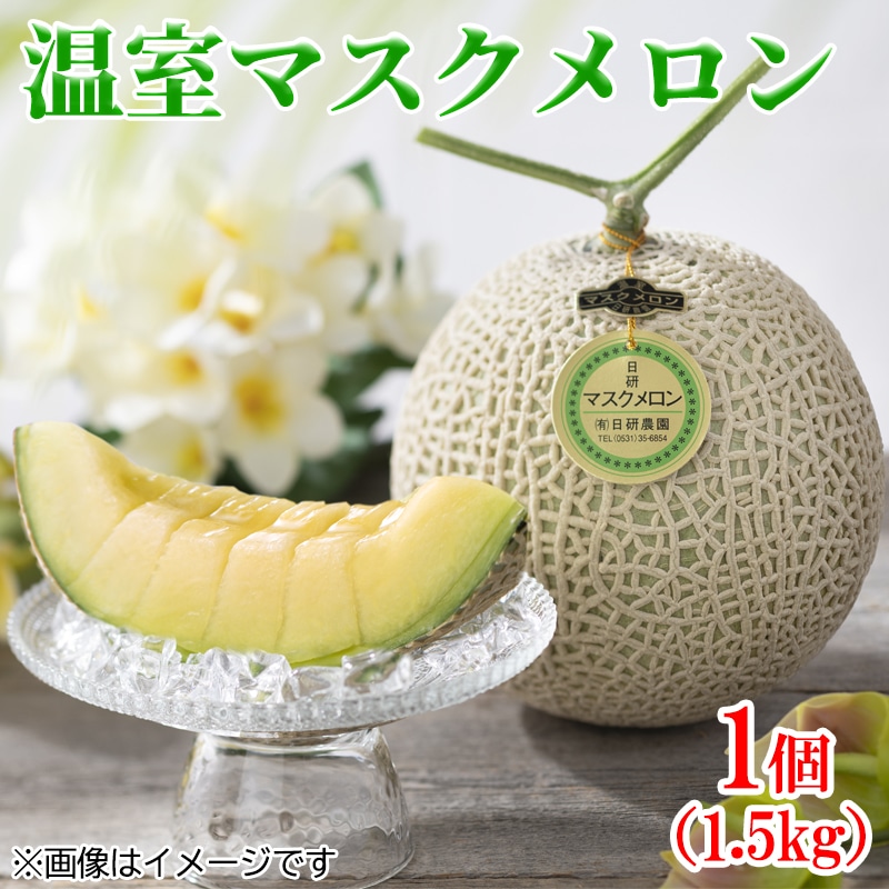 温室マスクメロン１個　送料込み