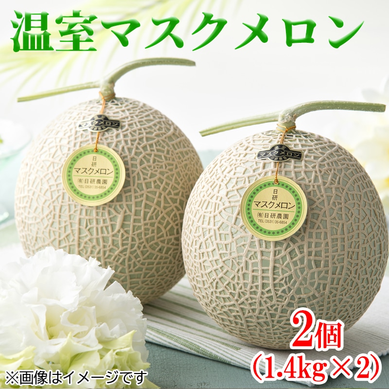 温室マスクメロン２個　送料込み