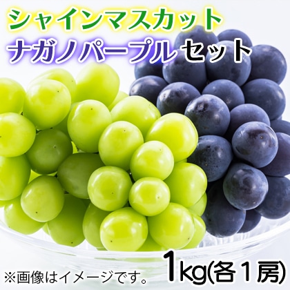 シャインマスカット・ナガノパープルセット　１ｋｇ（各１房） 送料込み