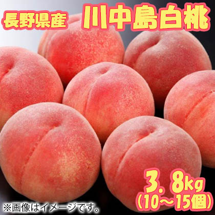 長野県産川中島白桃糖度１２度以上 送料込み