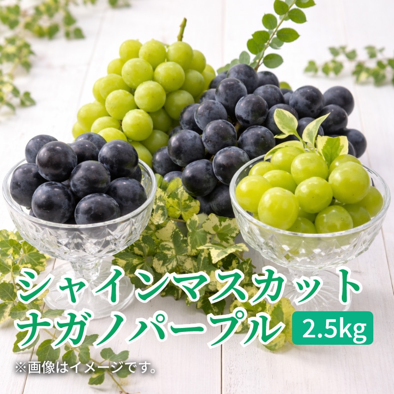 シャインマスカットとナガノパープル２．５ｋｇ 送料込み