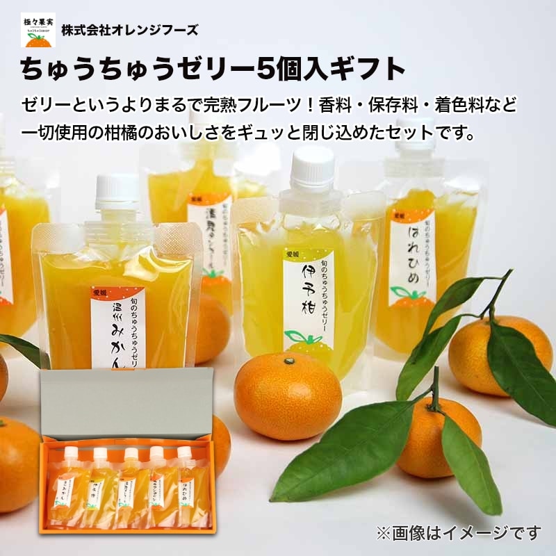 お中元 2026ちゅうちゅうゼリー５個入ギフト 送料込み