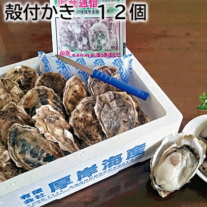 殻付かき　１２個 送料込み