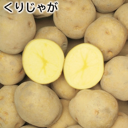 くりじゃが 送料込み