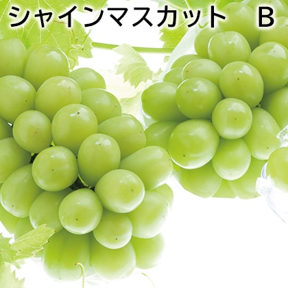 シャインマスカット　Ｂ 送料込み