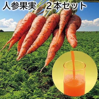 人参果実　２本セット 送料込み