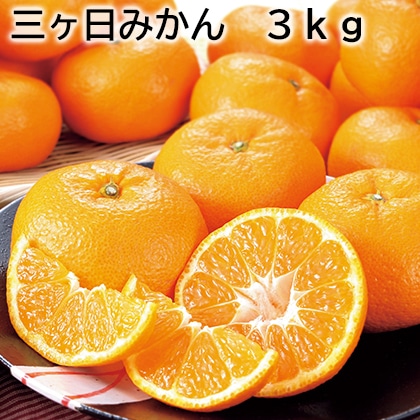 三ヶ日みかん　３ｋｇ 送料込み