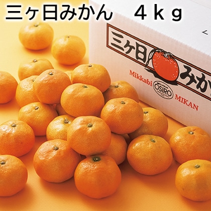 三ヶ日みかん　４ｋｇ 送料込み