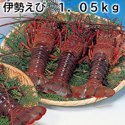 伊勢えび　１．０５ｋｇ 送料込み