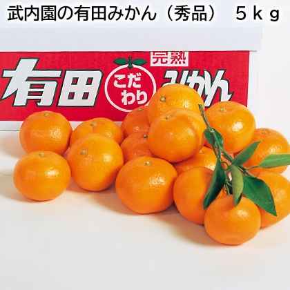 武内園の有田みかん（秀品）　５ｋｇ 送料込み