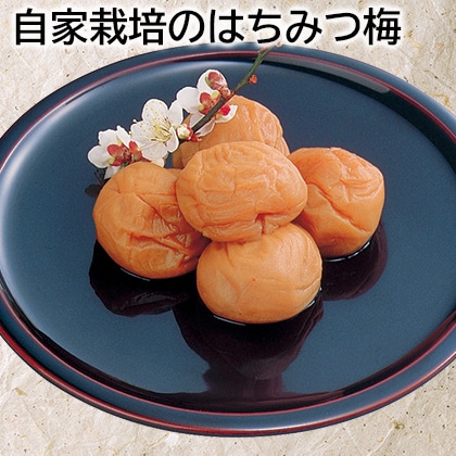 自家栽培のはちみつ梅 送料込み