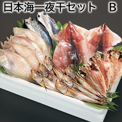 日本海一夜干セット　Ｂ 送料込み