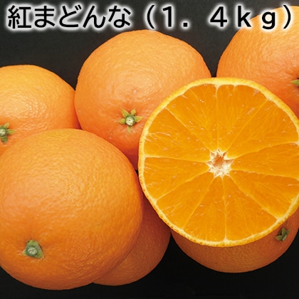 紅まどんな（１．４ｋｇ） 送料込み