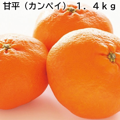 甘平（カンペイ）　１．４ｋｇ 送料込み