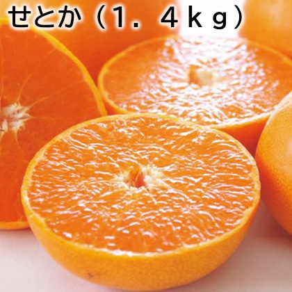 せとか（１．４ｋｇ） 送料込み