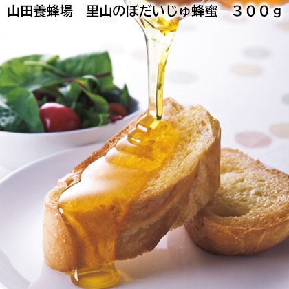 山田養蜂場　里山のぼだいじゅ蜂蜜　３００ｇ 送料込み