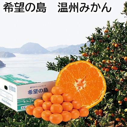希望の島　温州みかん 送料込み