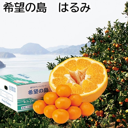 希望の島　はるみ 送料込み